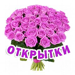 Канал Открытки для Любимых 💛 в мессенджере MAX — 15 473 подписчика
