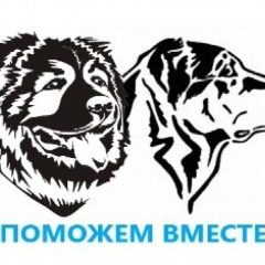 Канал Поможем вместе 39 в мессенджере MAX — 142 подписчика