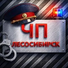 Канал ЧП Лесосибирск в мессенджере MAX — 9 299 подписчиков