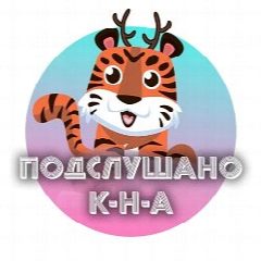 Канал Комсомольск-на-Амуре в мессенджере MAX — 1 562 подписчика