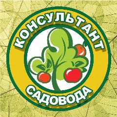 Канал Консультант Садовода в мессенджере MAX — 7 394 подписчика