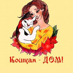 Канал Кошкам - дом!| О животных приюта ТиНАО и не только в мессенджере MAX — 68 подписчиков