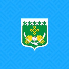Канал Костомукша | официально в мессенджере MAX — 220 подписчиков