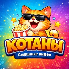 Канал Котаны | Смешные коты в мессенджере MAX — 8 444 подписчика