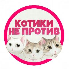 Канал Котики не против в мессенджере MAX — 157 подписчиков