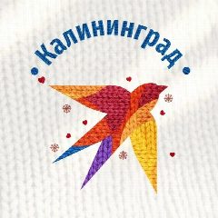 Канал КП-Калининград в мессенджере MAX — 545 подписчиков