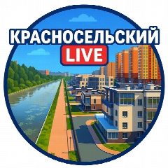 Канал Красносельский район Live Петербург в мессенджере MAX — 855 подписчиков