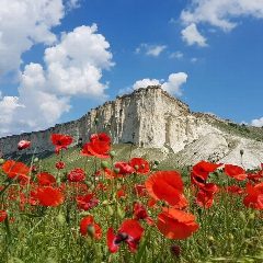 Канал Крымовед. О Крыме. Гид по Крыму в мессенджере MAX — 2 770 подписчиков