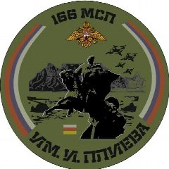 Канал 166 Полк им. Плиева (Башня Мамсурова) в мессенджере MAX — 808 подписчиков