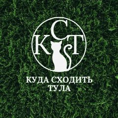Канал Тула| Куда сходить в мессенджере MAX — 3 743 подписчика