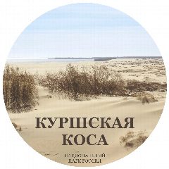 Канал Куршская коса в мессенджере MAX — 141 подписчик