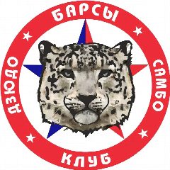 Канал БАРСЫ самбо и дзюдо в мессенджере MAX — 156 подписчиков