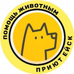 Канал ПРИЮТ ЕЙСК в мессенджере MAX — 709 подписчиков