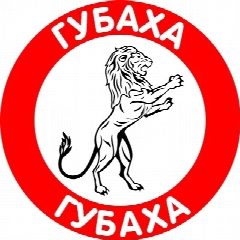 Канал Губаха 59 в мессенджере MAX — 1 353 подписчика