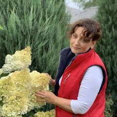 Канал Садовая кухня с Людмилой Кудасовой в мессенджере MAX — 44 679 подписчиков