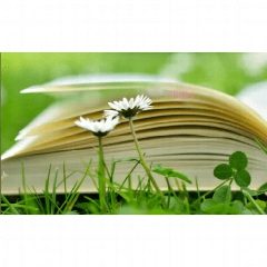 Канал Здоровье без Книг и Зубрежки эко зож экомедицина в мессенджере MAX — 93 подписчика