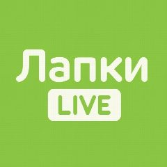Канал Лапки LIVE в мессенджере MAX — 395 подписчиков
