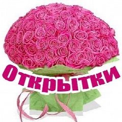 Канал Красивые открытки | Поздравления на все случаи День защитника Отечества в мессенджере MAX — 1 574 подписчика