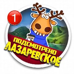 Канал ЛАЗАРЕВСКОЕ Подслушано в мессенджере MAX — 12 907 подписчиков