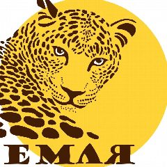 Канал «Земля леопарда» — дирекция заповедников в мессенджере MAX — 1 731 подписчик