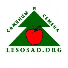 Канал lesosad.org - саженцы, семена, товары для дачи в мессенджере MAX — 31 подписчик