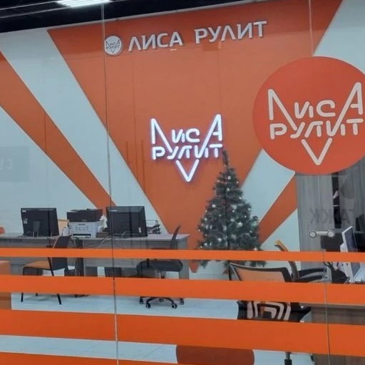 Канал Lisarulit Sales Лиса Рулит Авто в мессенджере MAX — 4 879 подписчиков