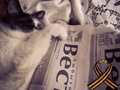 Канал Любытинские вести | Любытинский округ в мессенджере MAX — 14 подписчиков