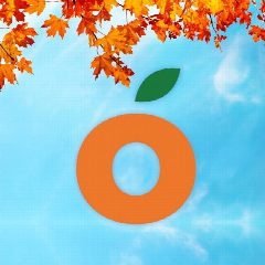 Канал Манго | оптово-розничный центр | ЛНР в мессенджере MAX — 1 069 подписчиков