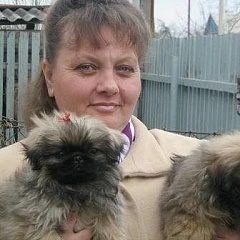 Канал Домик Марио в мессенджере MAX — 305 подписчиков