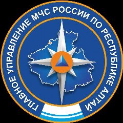 Канал МЧС России по Республике Алтай в мессенджере MAX — 1 369 подписчиков