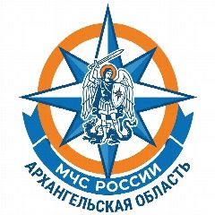 Канал МЧС Архангельской области в мессенджере MAX — 958 подписчиков