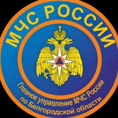 Канал МЧС Белгородской области в мессенджере MAX — 8 040 подписчиков