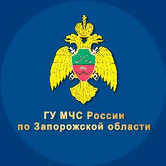 Канал МЧС России по Запорожской области в мессенджере MAX — 2 884 подписчика