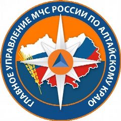 Канал МЧС Алтайского края в мессенджере MAX — 5 971 подписчик