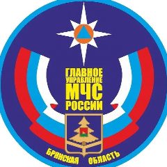 Канал МЧС Брянской области в мессенджере MAX — 25 177 подписчиков
