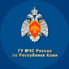 Канал МЧС Республики Коми в мессенджере MAX — 1 037 подписчиков