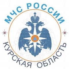 Канал ГУ МЧС России по Курской области в мессенджере MAX — 3 557 подписчиков