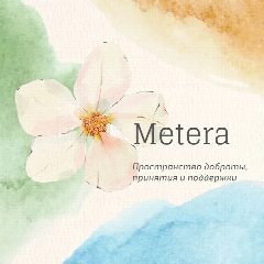Канал METERA в мессенджере MAX — 185 подписчиков