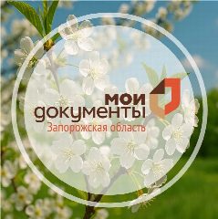 Канал Мои Документы Запорожская область в мессенджере MAX — 5 640 подписчиков