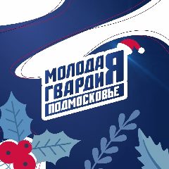 Канал «Молодая Гвардия» Московская область в мессенджере MAX — 529 подписчиков
