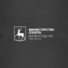 Канал Министерство спорта Нижегородской области в мессенджере MAX — 44 подписчика