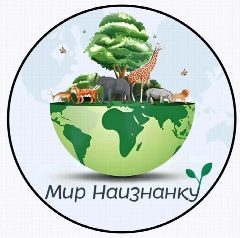 Канал Мир Наизнанку в мессенджере MAX — 1 581 подписчик