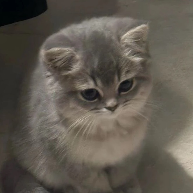 Канал Мод на тикток в мессенджере MAX — 4 941 подписчик