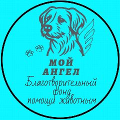 Канал БФ"Мой Ангел"- помощь животным в мессенджере MAX — 62 подписчика