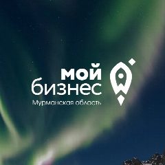 Канал Мой бизнес | Мурманская область в мессенджере MAX — 343 подписчика
