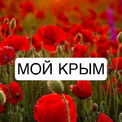 Канал Мой Крым в мессенджере MAX — 1 596 подписчиков