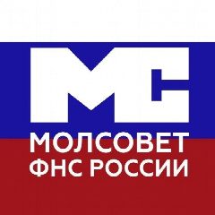 Канал Молодежный совет ФНС России в мессенджере MAX — 597 подписчиков