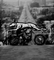 Канал MOTORCYCLES & ART в мессенджере MAX — 81 подписчик