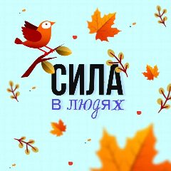 Канал Комитет по молодежной политике Ленобласти в мессенджере MAX — 355 подписчиков
