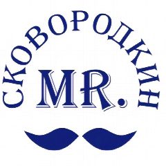 Канал Mr.Сковородкин / Skovorodka76.ru в мессенджере MAX — 658 подписчиков